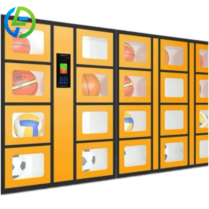 Customize 24-hour Smart Sports - Sports Equipment Locker recension och pris