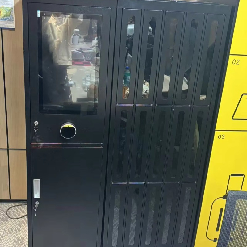 Custom Made in China Club Gym  - Sports Equipment Locker recension och pris
