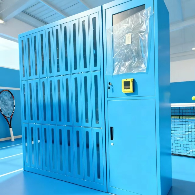 Custom High-quality Club Gym S - Sports Equipment Locker recension och pris